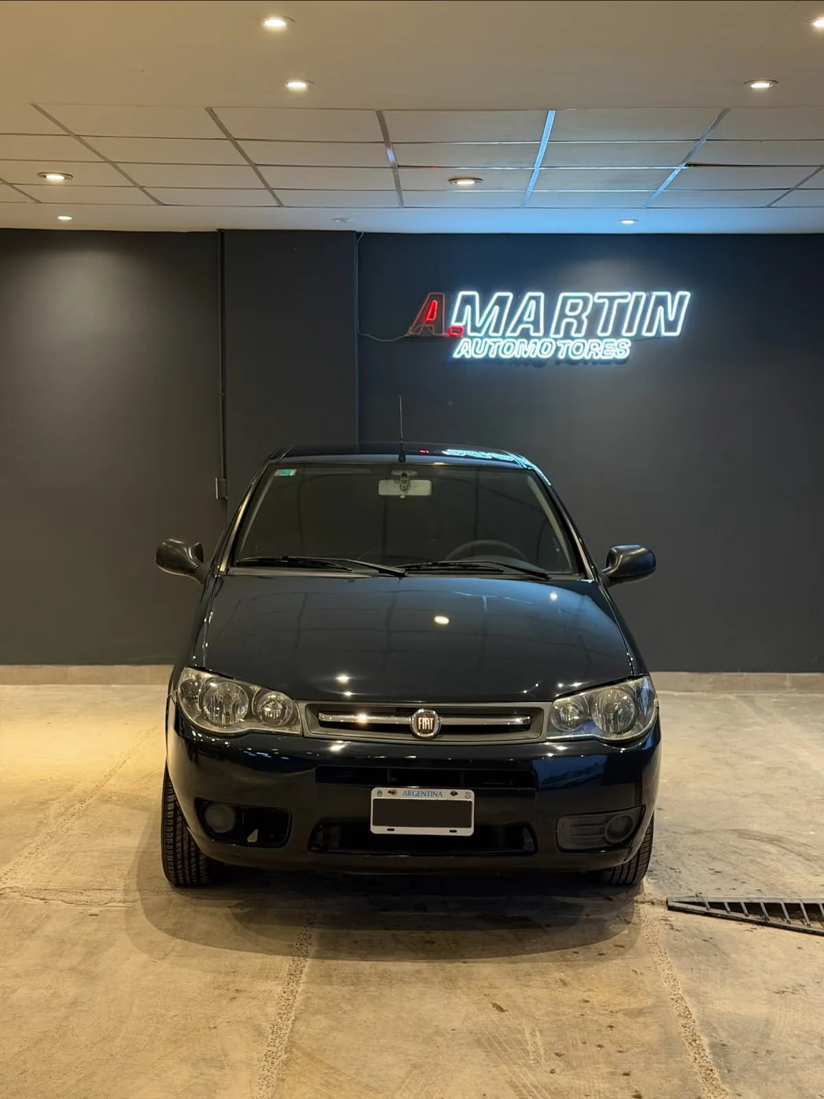 Fiat Palio 2013